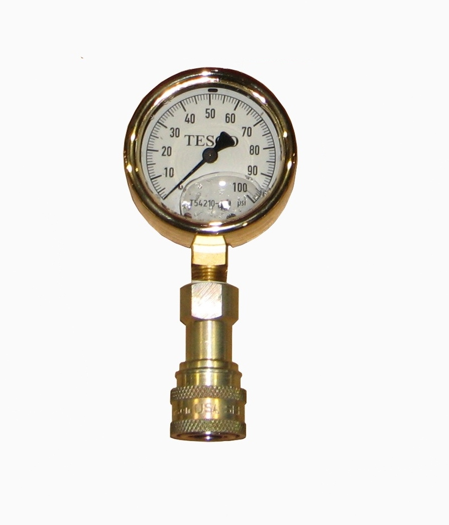 T54210-100 100 PSI Gage with Socket